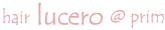 luceroロゴ