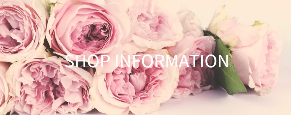 ショップインフォ