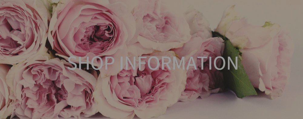 ショップインフォ